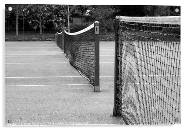 Tennis Courts  Acrylic by Drew Gardner