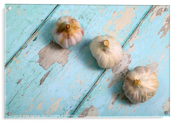 Garlic Acrylic by Drew Gardner