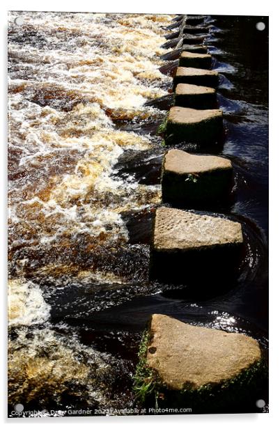 Stepping Stones Acrylic by Drew Gardner