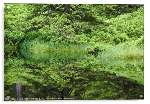 Reflections in a moor pond Acrylic by Andreas Himmler