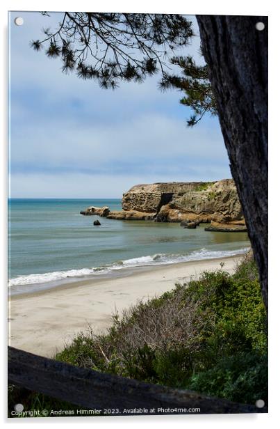 Cove Beach Ano Nuevo State Park Acrylic by Andreas Himmler