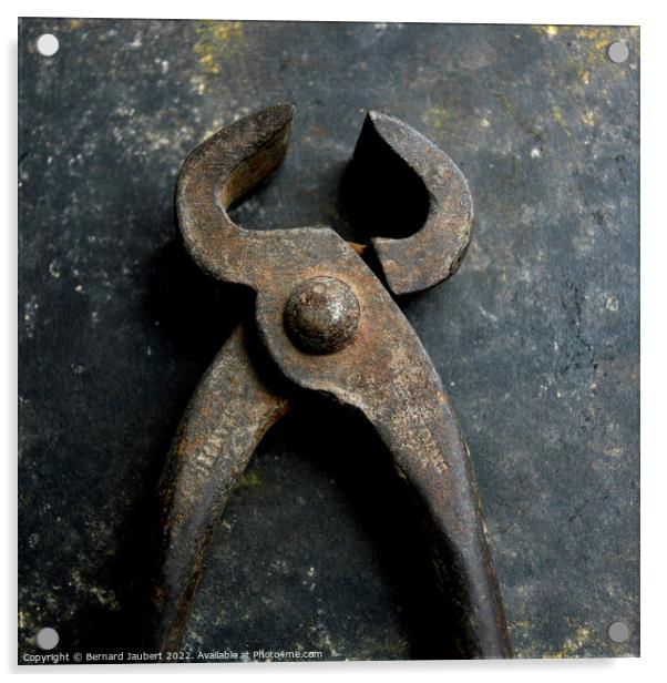 Closeup shot of rusted old nippers Acrylic by Bernard Jaubert