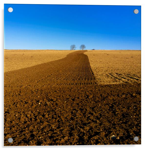 Plowed field  Acrylic by Bernard Jaubert