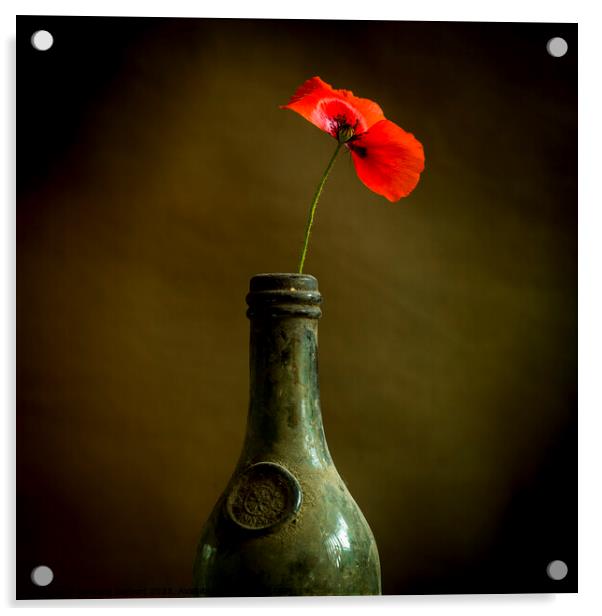 Red poppy Acrylic by Bernard Jaubert