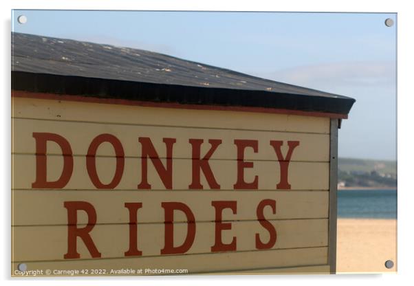 Iconic Weymouth Beach Donkey Hut Acrylic by Carnegie 42