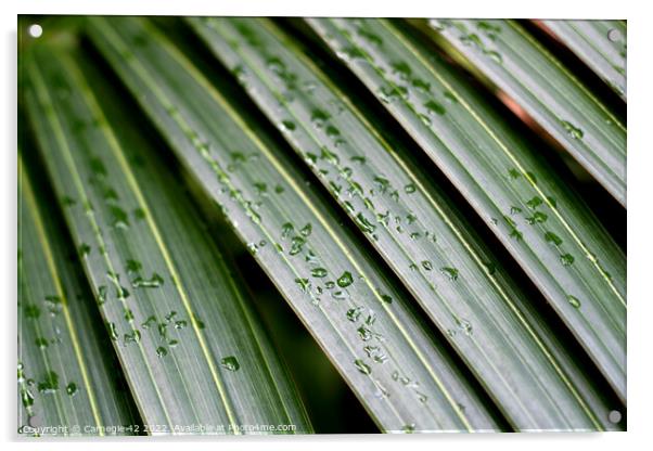 Dancing Palms in the Rain Acrylic by Carnegie 42