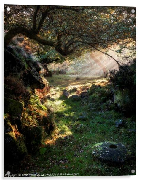 Padley Gorge Morning Light Acrylic by Craig Yates