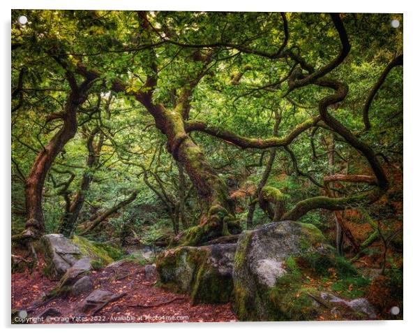 Padley Gorge Gnarly trees Acrylic by Craig Yates