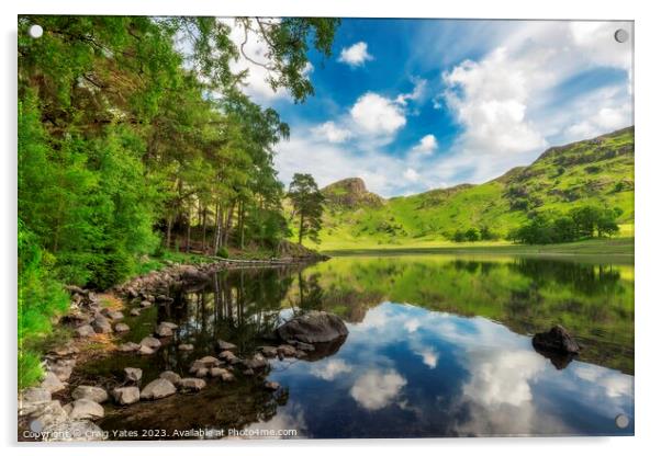 Blea Tarn Lake District Cumbria. Acrylic by Craig Yates