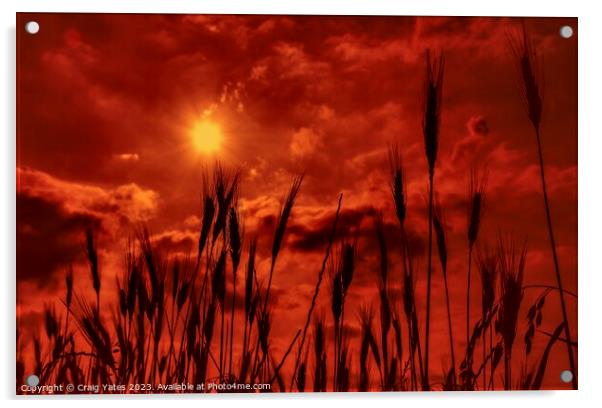 Orange Sunny Sky Acrylic by Craig Yates