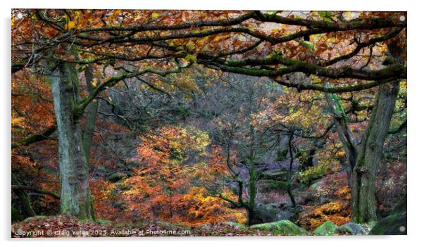 Autumn in Padley Gorge Peak District Acrylic by Craig Yates