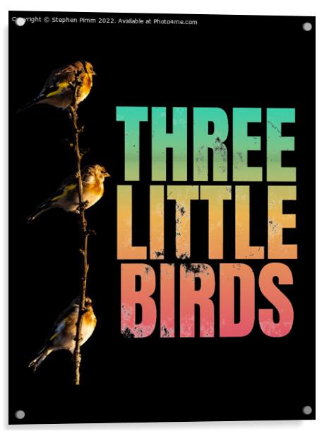 Three Little Birds Acrylic by Stephen Pimm