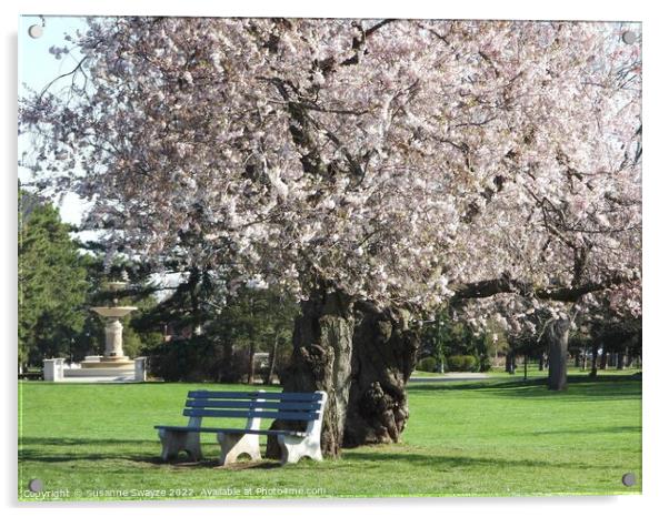 Kwanza Oriental Cherry Tree Acrylic by Susanne Swayze