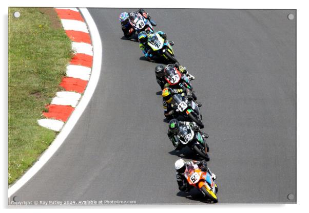 R&G British Talent Cup - Brands Hatch 2023 Acrylic by Ray Putley