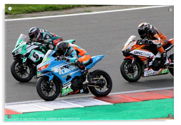 HEL Performance British Supersport Championship with Motocourse- Brands Hatch 2023 Acrylic by Ray Putley