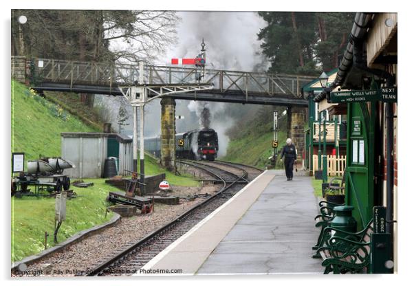Spa Valley Railway Acrylic by Ray Putley