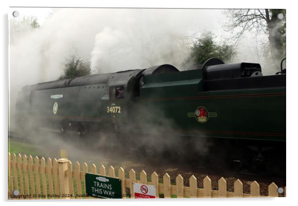 Spa Valley Railway Acrylic by Ray Putley