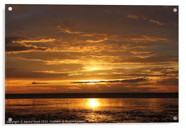 Golden Norfolk sunset Acrylic by Rachel Royal