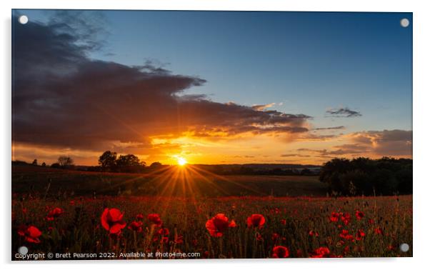 Poppy Sunset Acrylic by Brett Pearson