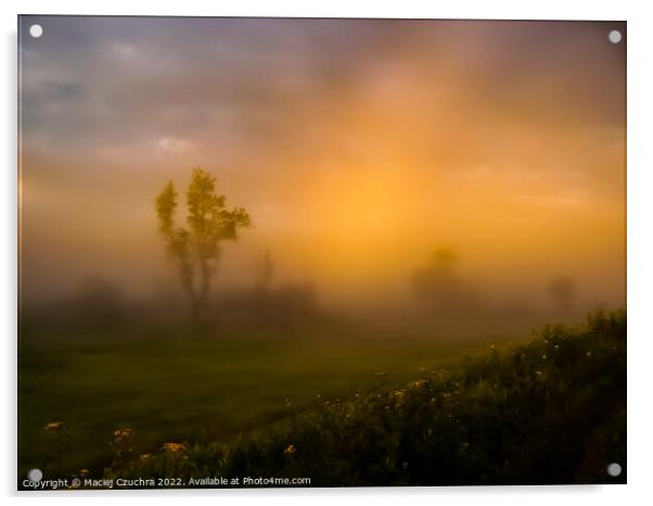 Misty Morning Acrylic by Maciej Czuchra