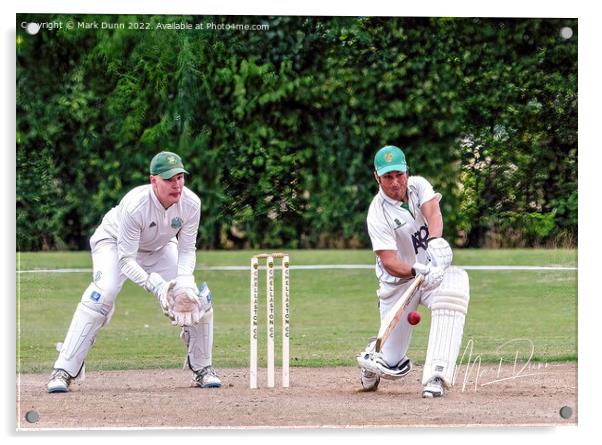 Cricket batsman  Acrylic by Mark Dunn