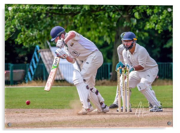 a cricket batsman  Acrylic by Mark Dunn