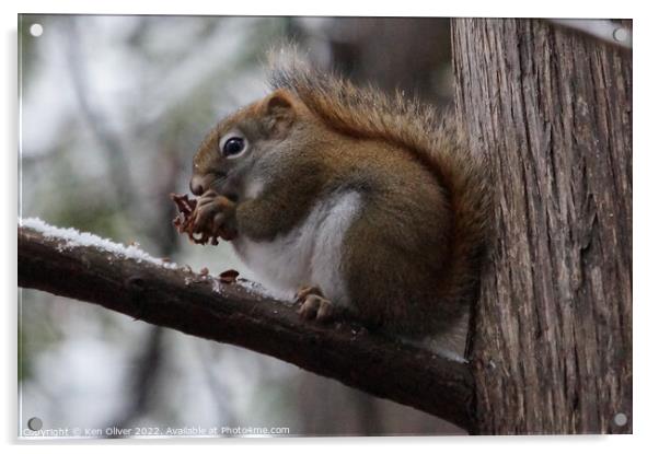 "Squirrel Delight" Acrylic by Ken Oliver