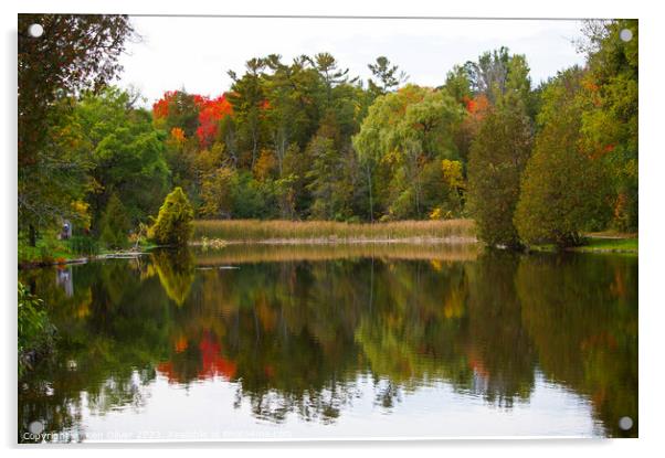Autumnal Splendour in Jackson Park Acrylic by Ken Oliver