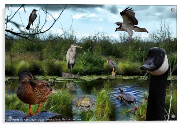 Wetlands Gathering of Animals Acrylic by Ken Oliver