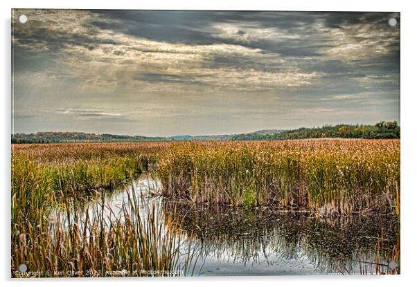 Autumnal Reverie at Miller Creek Wetlands Acrylic by Ken Oliver