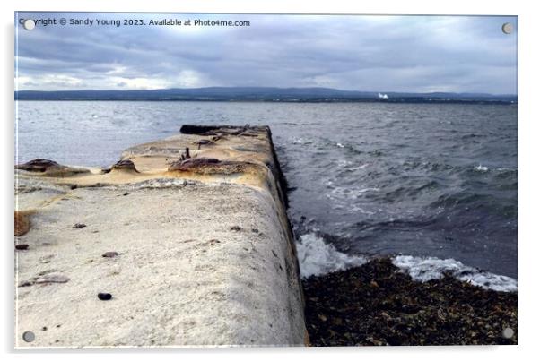 The old Pier at  Chanonry Point Acrylic by Sandy Young