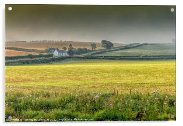 Ayrshire Countryside Acrylic by Rodney Hutchinson