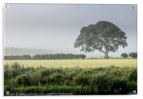 Enchanting Countryside Fog Acrylic by Rodney Hutchinson