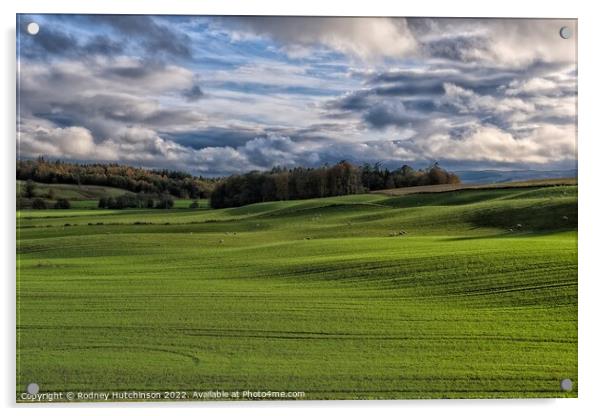 Serene Scottish Countryside Acrylic by Rodney Hutchinson