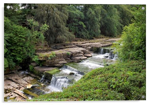 Majestic Lower Falls Aysgarth Acrylic by Rodney Hutchinson