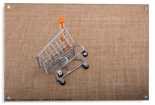 Shopping cart on canvas background Acrylic by Turgay Koca