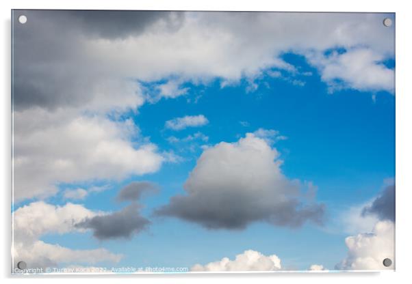 White color clouds found in the  blue sky Acrylic by Turgay Koca