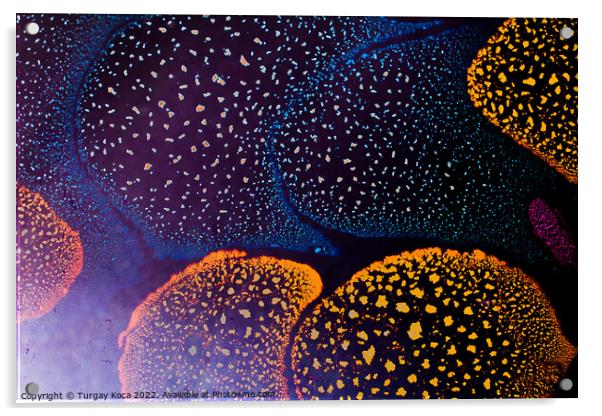 Macro shot of  water-oil emulsion over colored background Acrylic by Turgay Koca