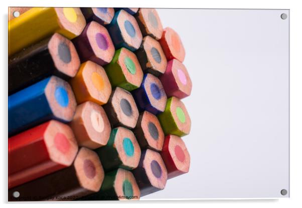 Color pencils Acrylic by Turgay Koca