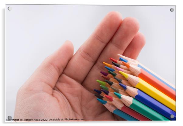 Hand holding color  pencils Acrylic by Turgay Koca