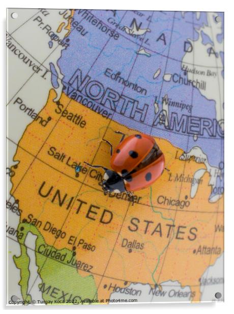 Ladybug on a little colorful model globe  Acrylic by Turgay Koca