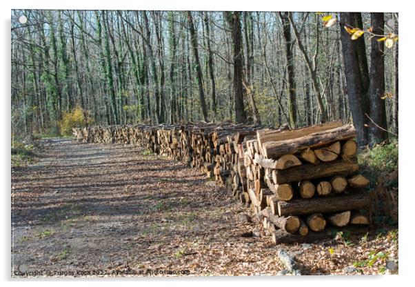 Fire wood tree  logs stock  trunks piled up   Acrylic by Turgay Koca