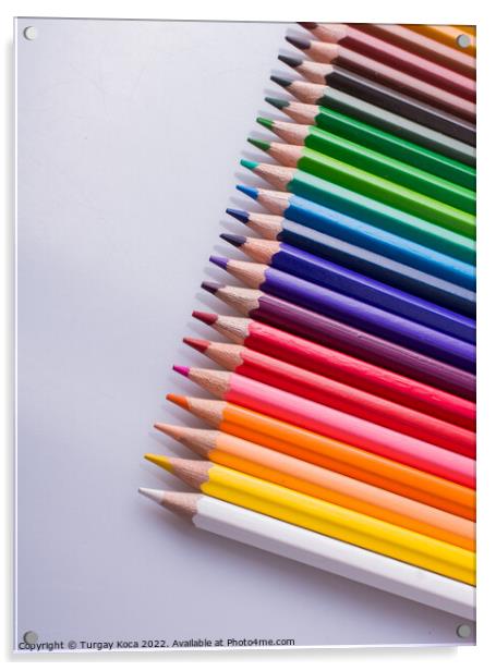  Color Pencils placed on a white background Acrylic by Turgay Koca