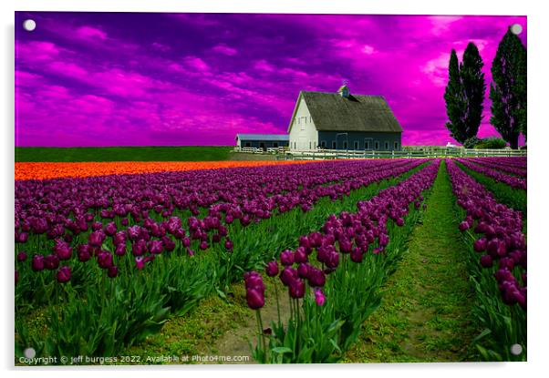 Spring tulips in Skagit Valley Acrylic by jeff burgess