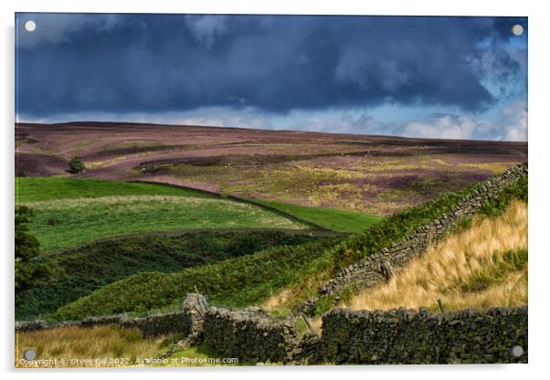 Sparse Grassland and Heather Separated by Drystone Acrylic by Steve Gill