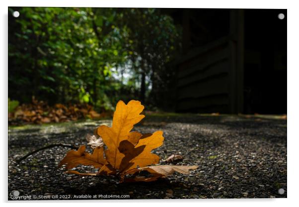 Fallen Oak Leaf Twig. Acrylic by Steve Gill