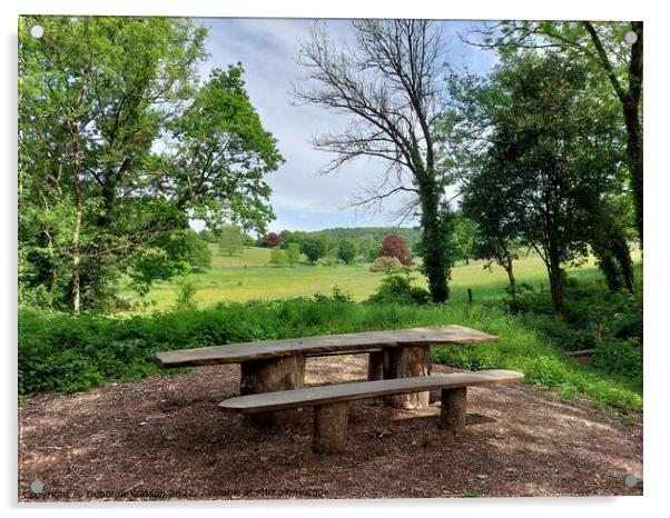 Picnic Spot at Saltram, Devon Acrylic by Deborah Watson