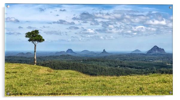 Glass House Mountains Maleny Lone Tree Hill Acrylic by Julie Gresty