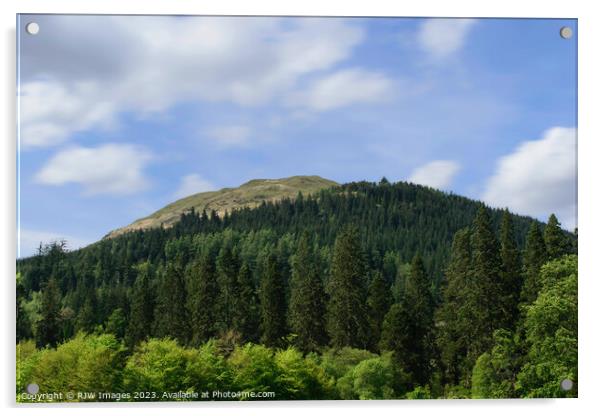 Benmore Mountain Forest Acrylic by RJW Images