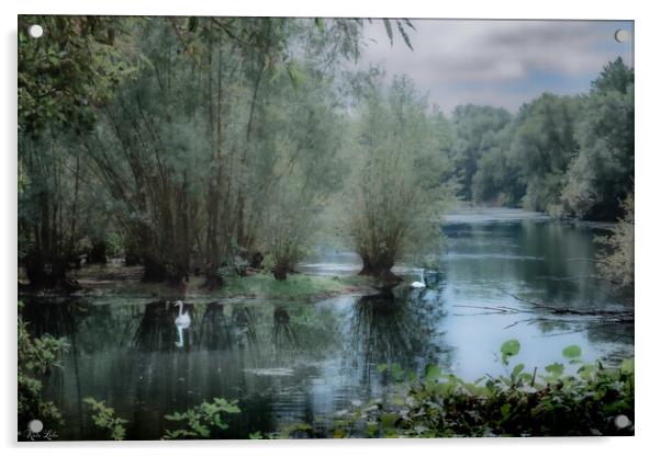 Flatford Swans Acrylic by Kate Lake